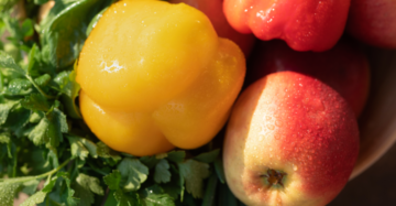 Frutas y Verduras Ecológicas